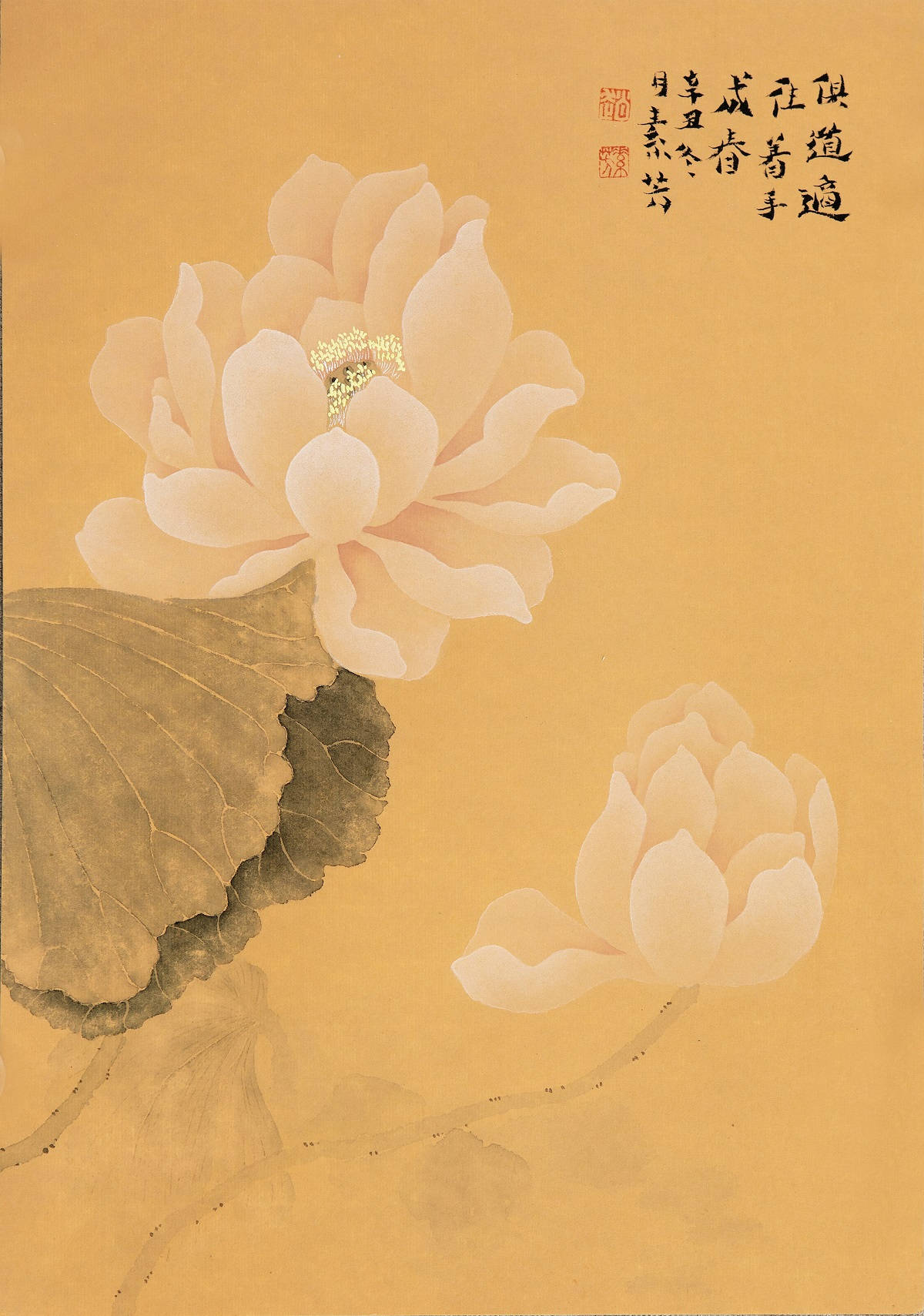 【画作赏析】赵素芳花鸟画:淡雅清新,诗意流淌,笔墨生辉