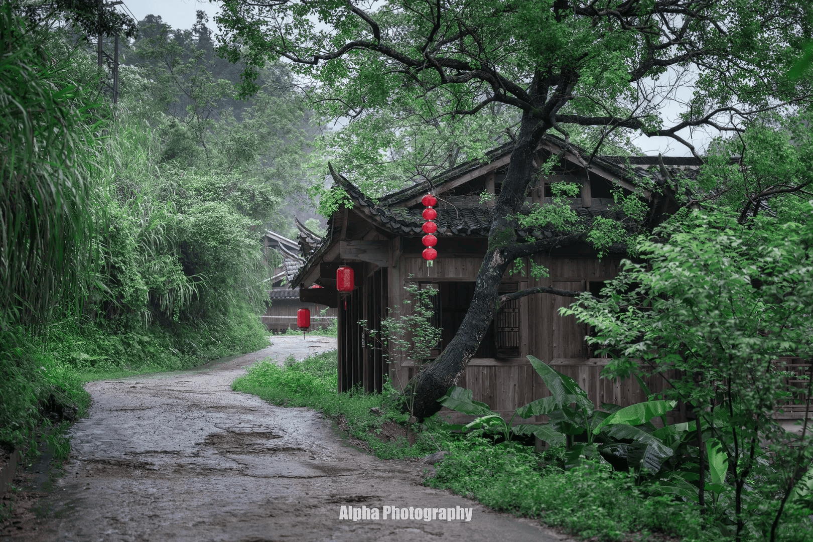 清幽景图片