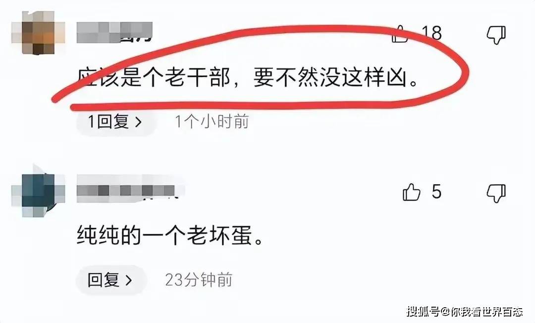 北京地铁老大爷事件后续：女儿疾呼“停止网暴，父亲快撑不住了！”-北京地铁大妈