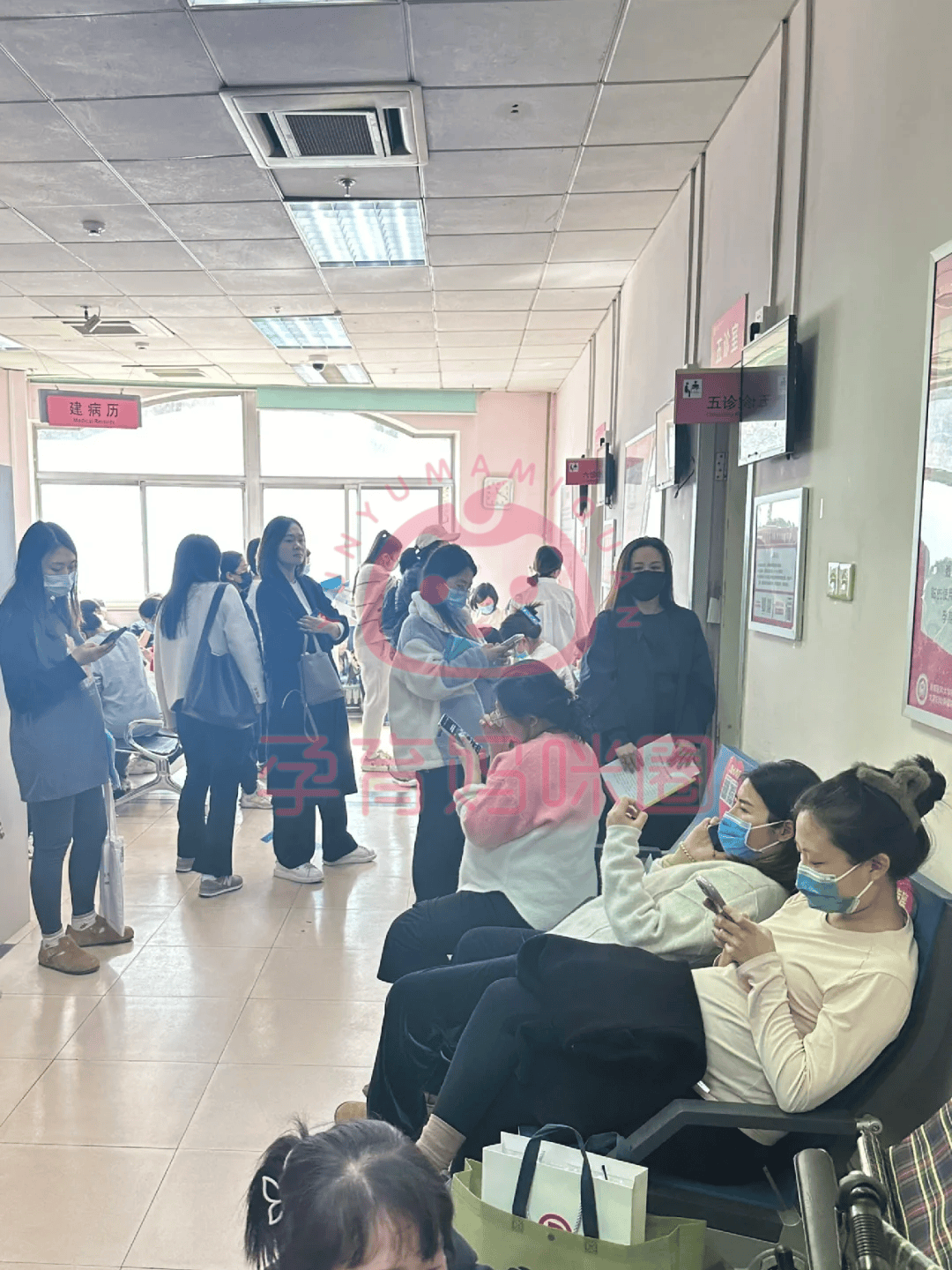 关于阜外医院预约挂号陪诊一体住院期间生活需求响应，贴心安排的信息