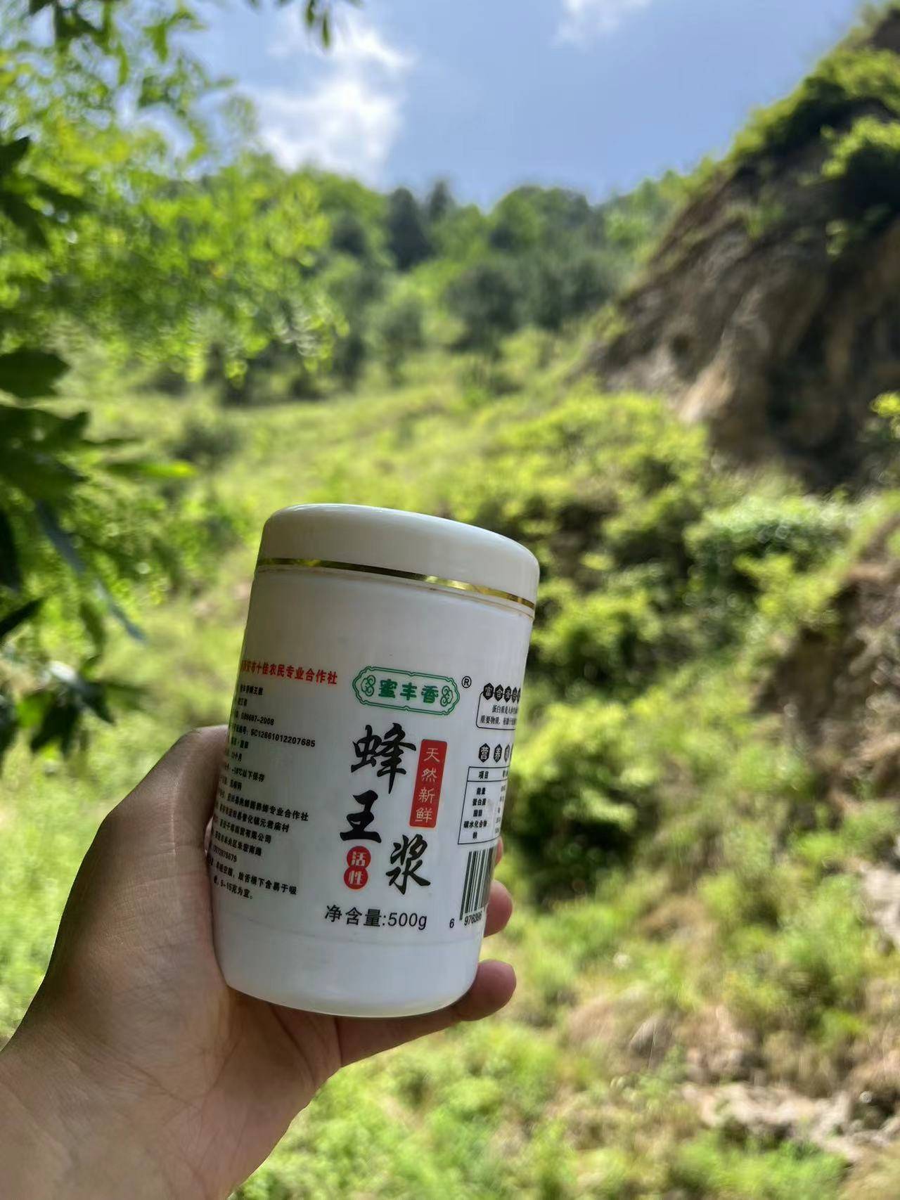 蜂王浆要冷冻还是冷藏,蜂王浆最佳保存方法_食用_品质_污染