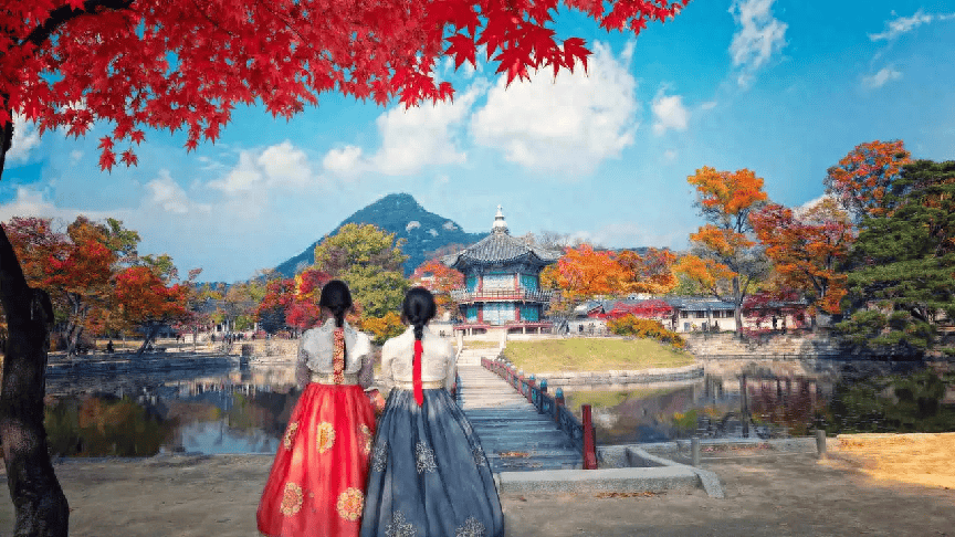   引起 为了留住中国游客，韩国政府开始整顿旅游业。为什么没人去韩国旅游？ 