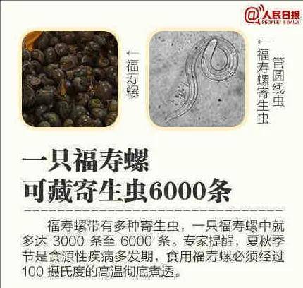 含6000条寄生虫的福寿螺，混进网红食品螺蛳粉？