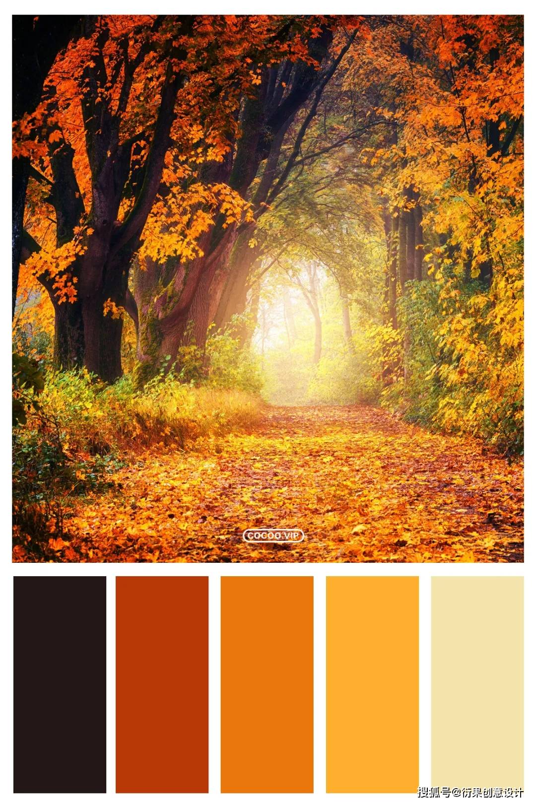 【配色技巧】一组色彩搭配方案