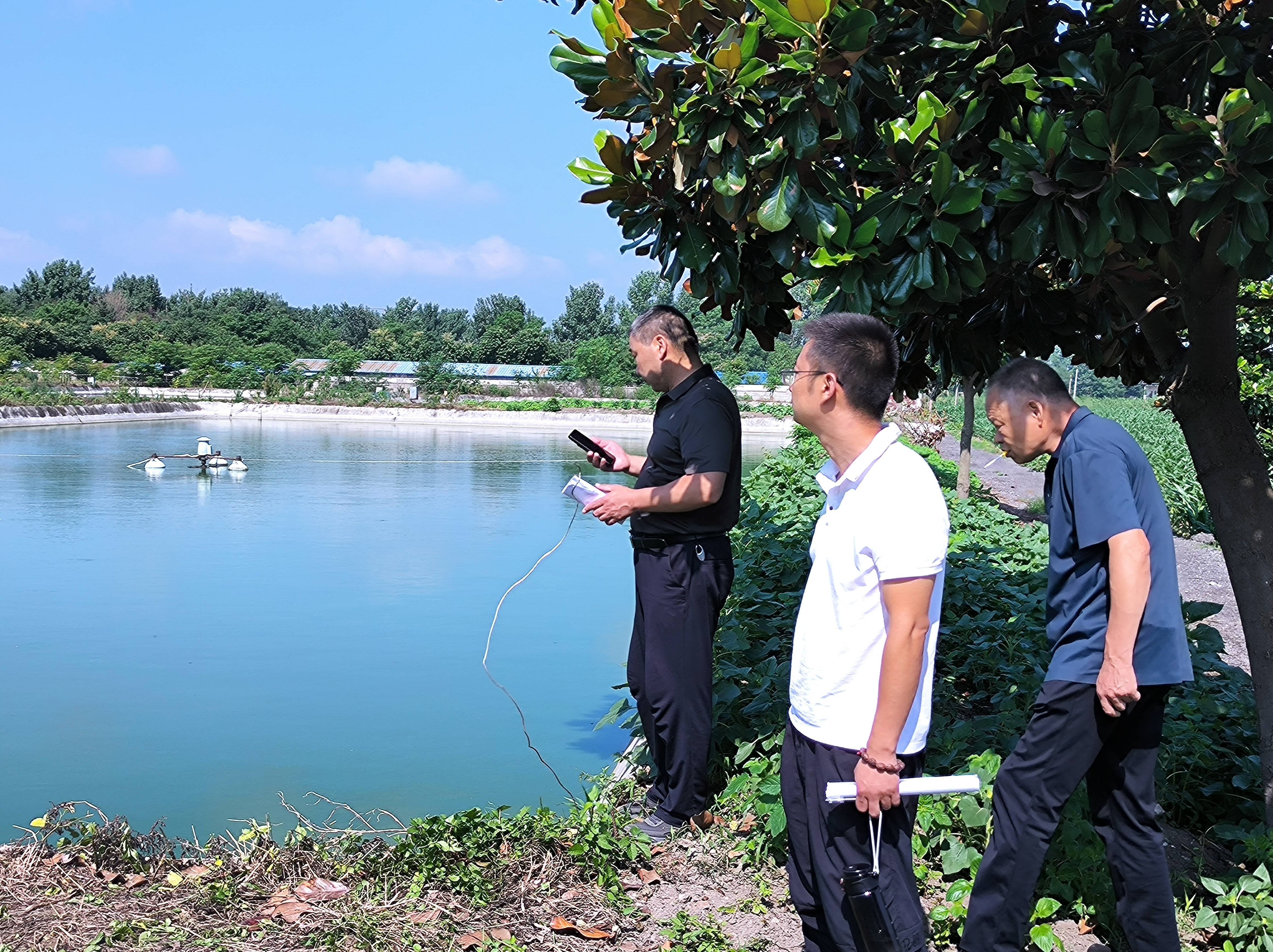 邓州市夏集镇开展"逐村观摩,整乡推进"活动