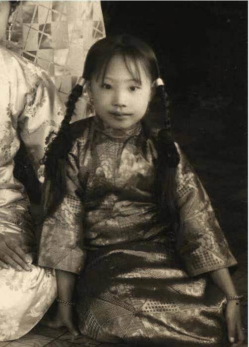 等孩子们大一点,载沣还给他们请来了外语老师,让他们接受西式教育