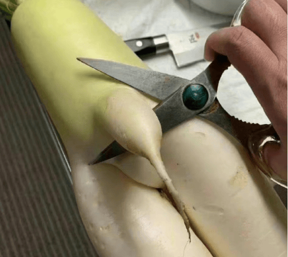 被悔婚,女子将男友下体割掉