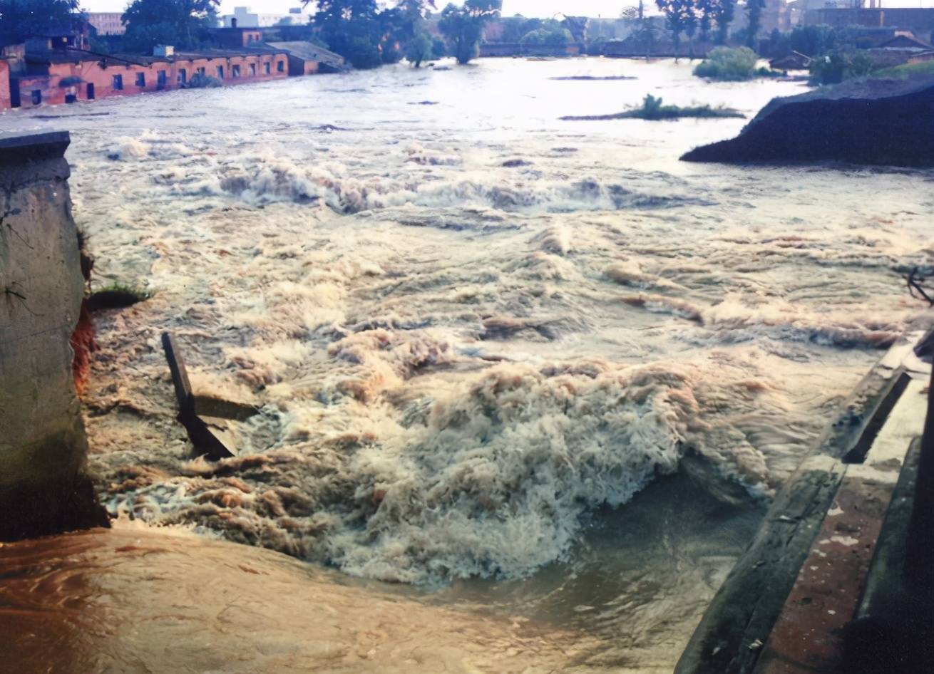 1998年,洪水中6岁女童抱树9小时获救,多年后见到恩人泣不成声