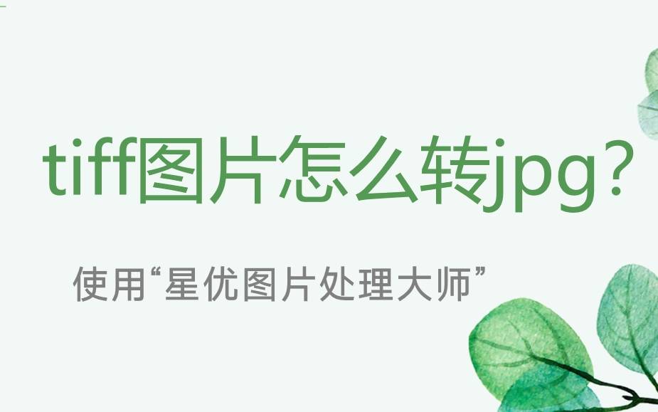 值得介绍的四种tiff转jpg方法_文件_软件_格式