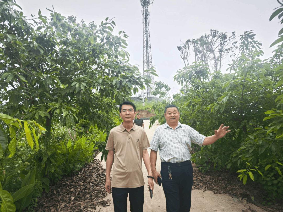 恩典生命科技携手拱市联村党委书记蒋乙嘉深化合作,助力乡村全面振兴