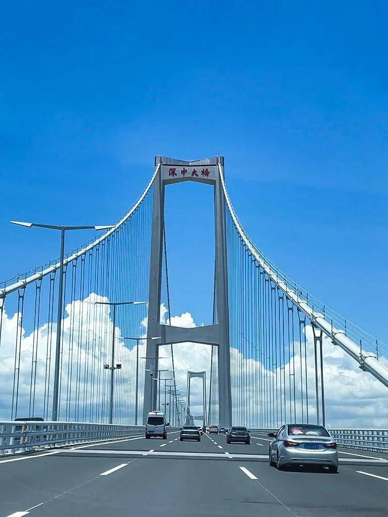 海上  世界之最03深中大桥钢结构用钢量约8.