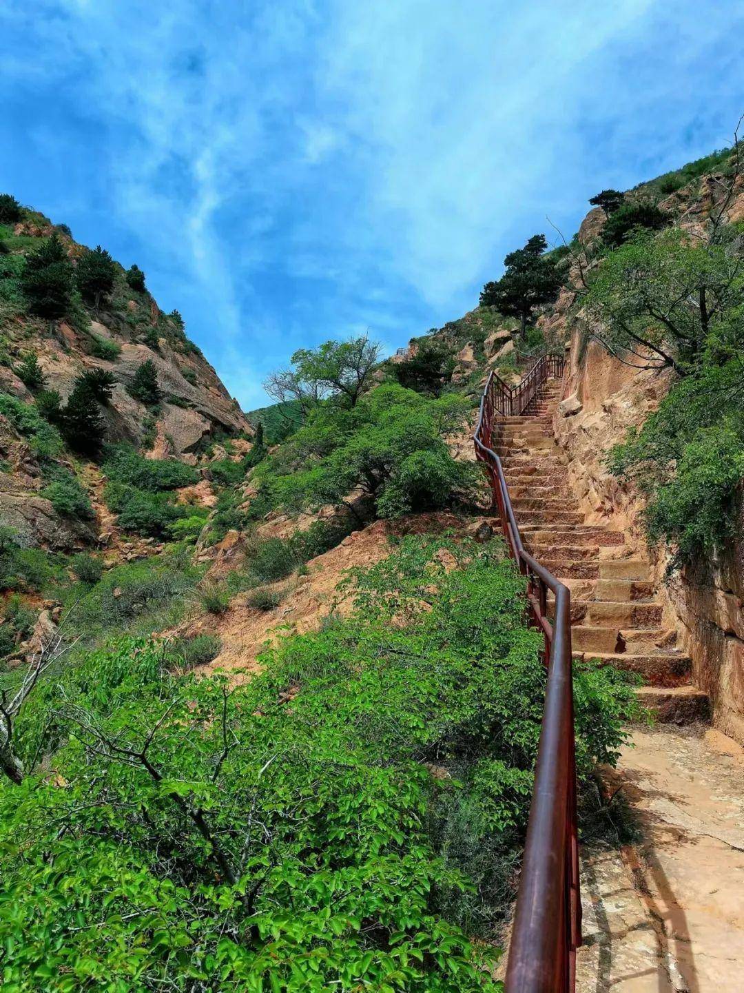 宁夏须弥山|七月,愿所有的美好如"七"而至