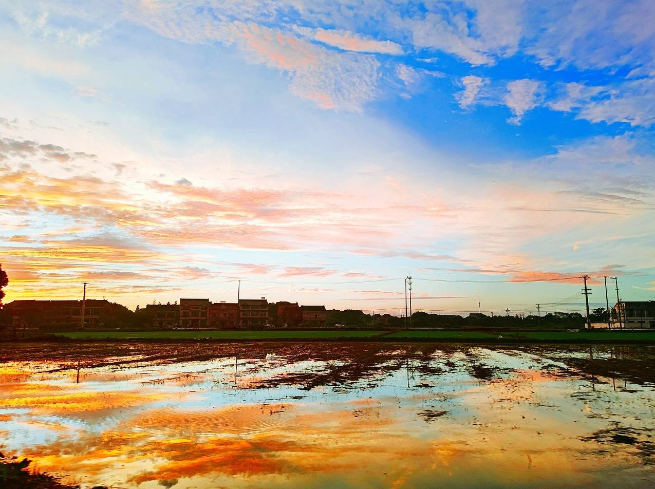 夕阳西下,苏州相城望亭北太湖畔晚霞烂漫,仿佛天边铺开金色画卷