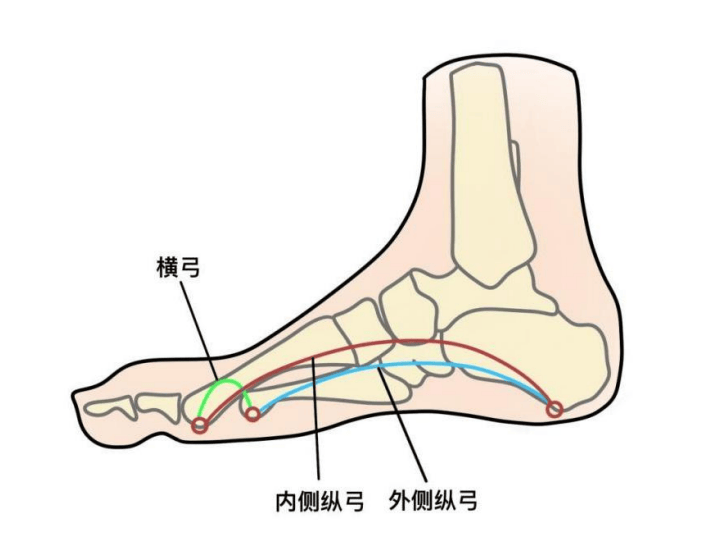 脚窝的位置示意图图片