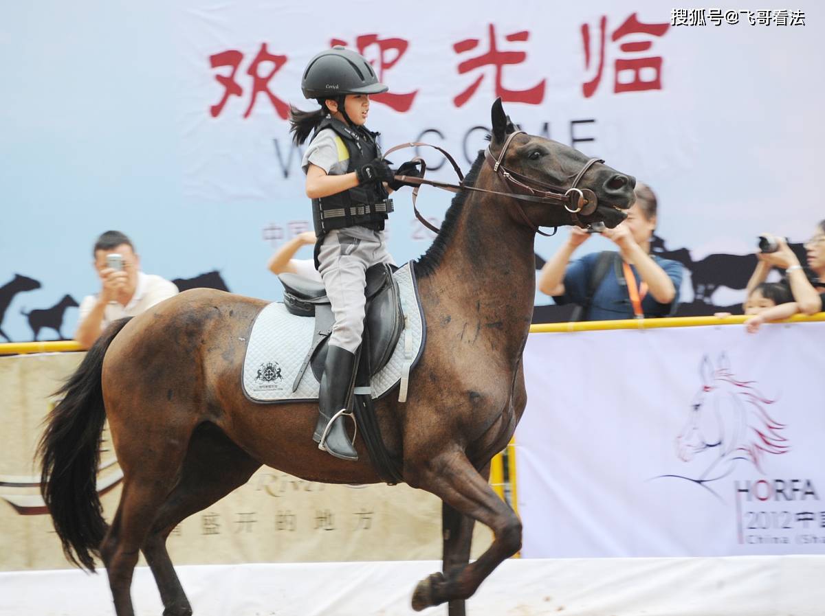 闹大!不听劝阻拍摄马术表演,内蒙古骑手拉弓射落无人机
