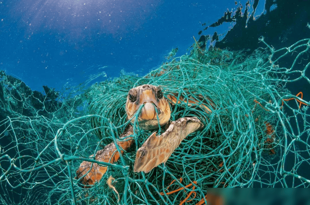 海沟马里亚纳海沟图片