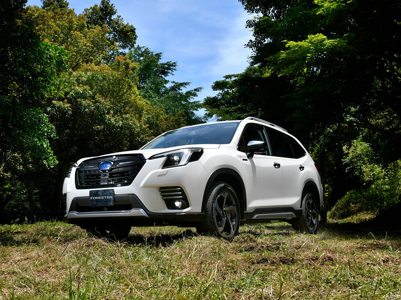 未来汽车能源系统:重塑出行,引领绿色革命