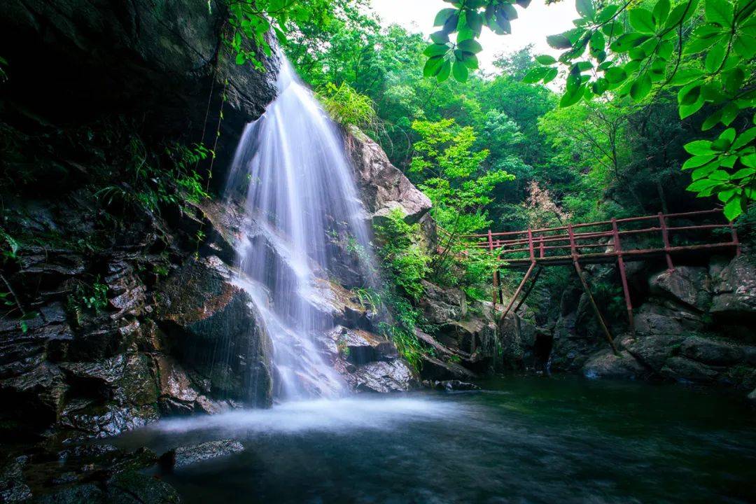 我眼中的大美中原丨内乡摄协聚焦伏牛山山水之美