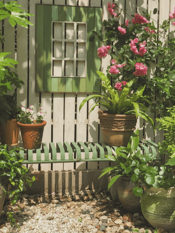 绿植不只是装饰,教你摆对风水绿植行好运_形态_植物_住宅