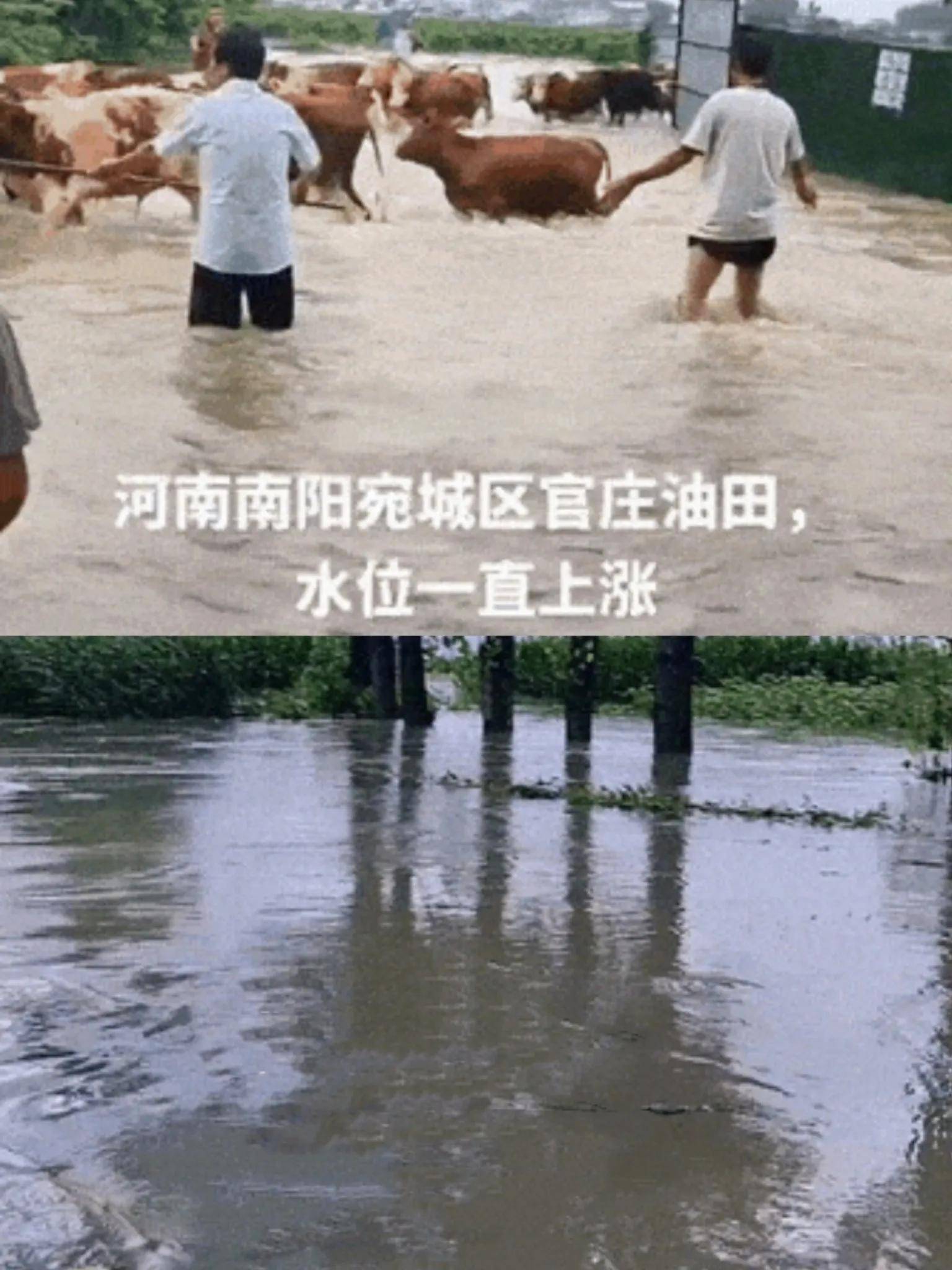 河南暴雨最新消息图片