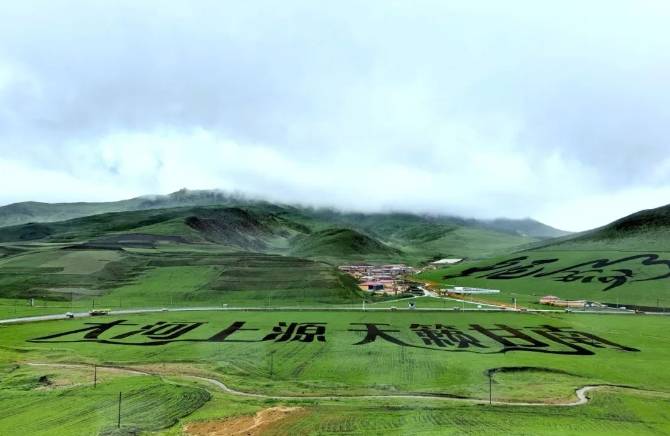 2024甘南旅游景点大全(附推荐景点)_甘加_草原_阿米贡