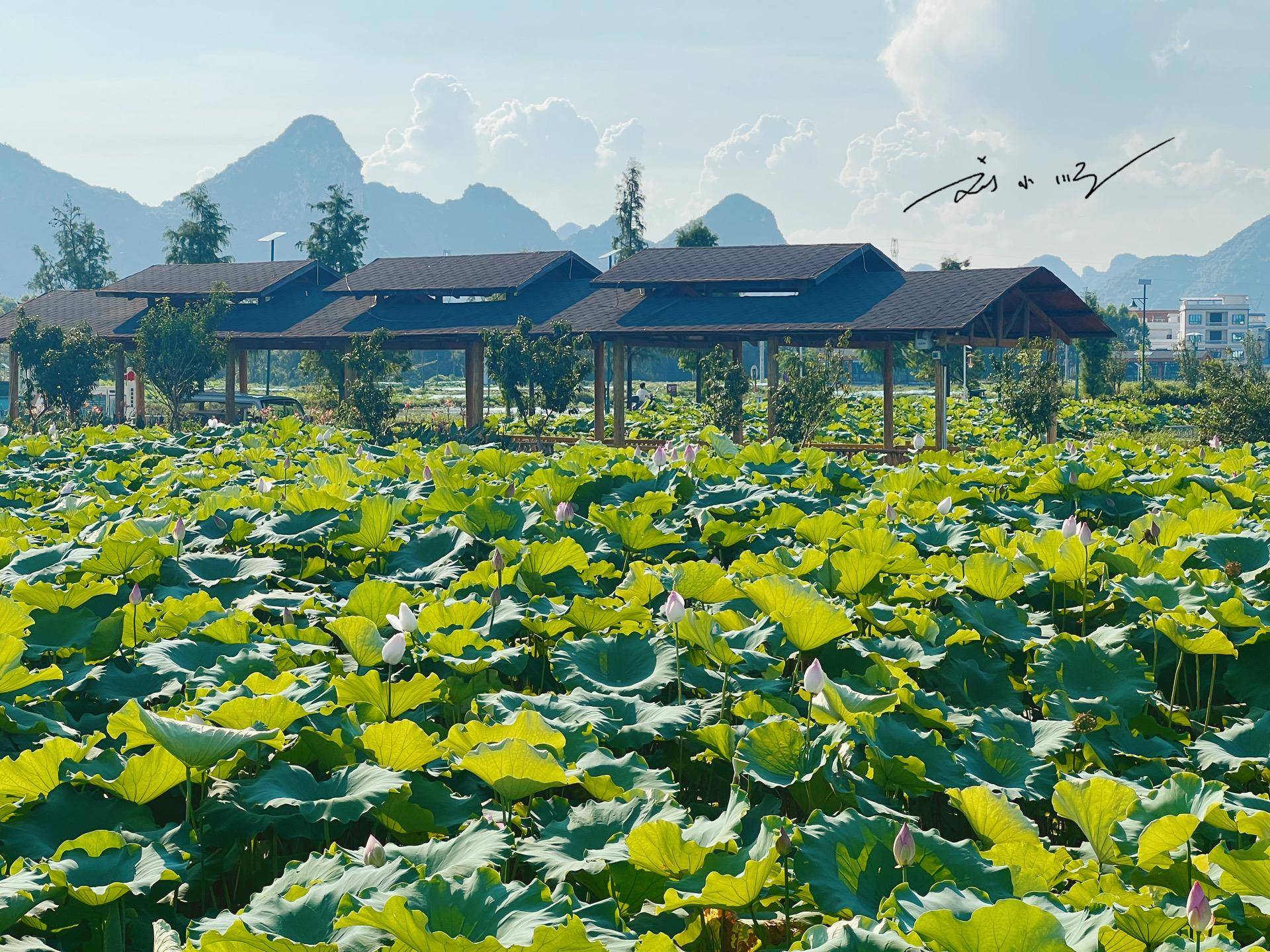 风景名胜区,北帝山旅游区等众多国家4a级旅游景区,以及桂平北回归线