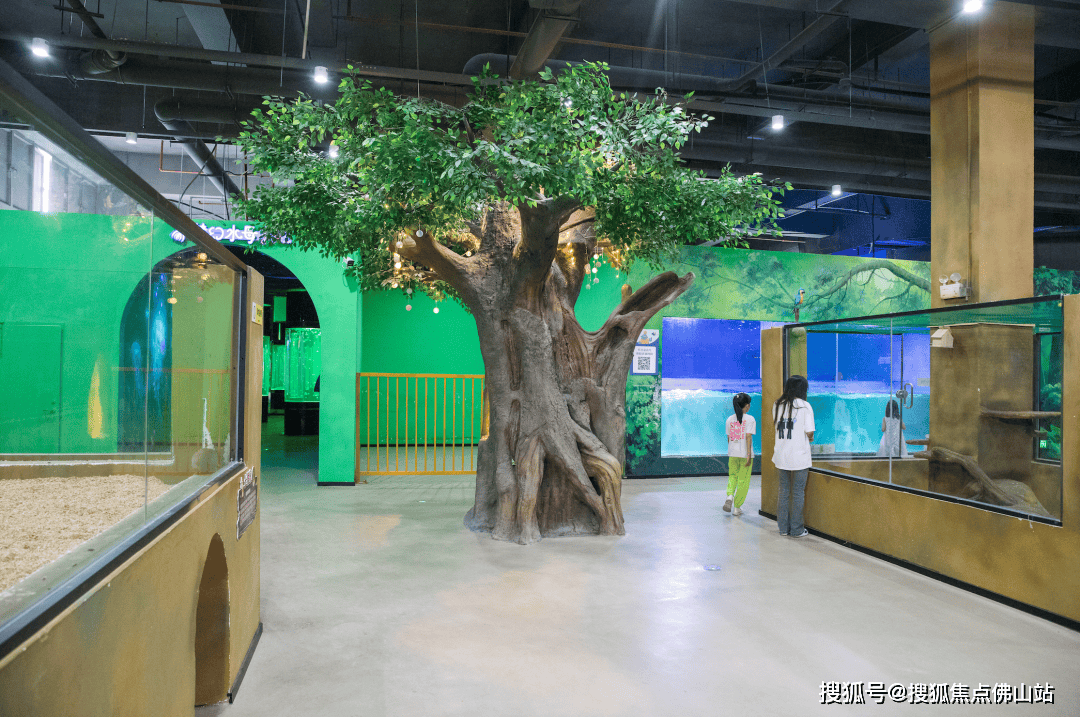 南海海洋亲子乐园梦幻来袭