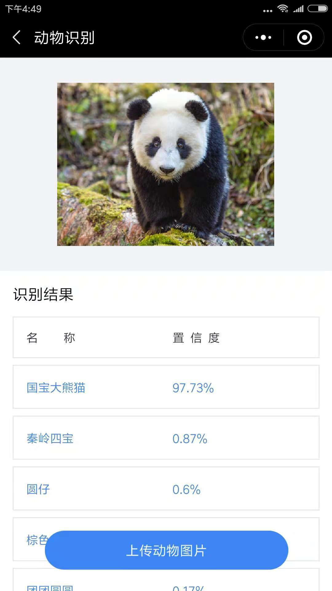 人工智能之图像识别的三种类型_动物_车型_不知名