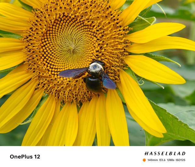 半年后入手2023年的压轴大作一加12,体验实测过才知道真香!