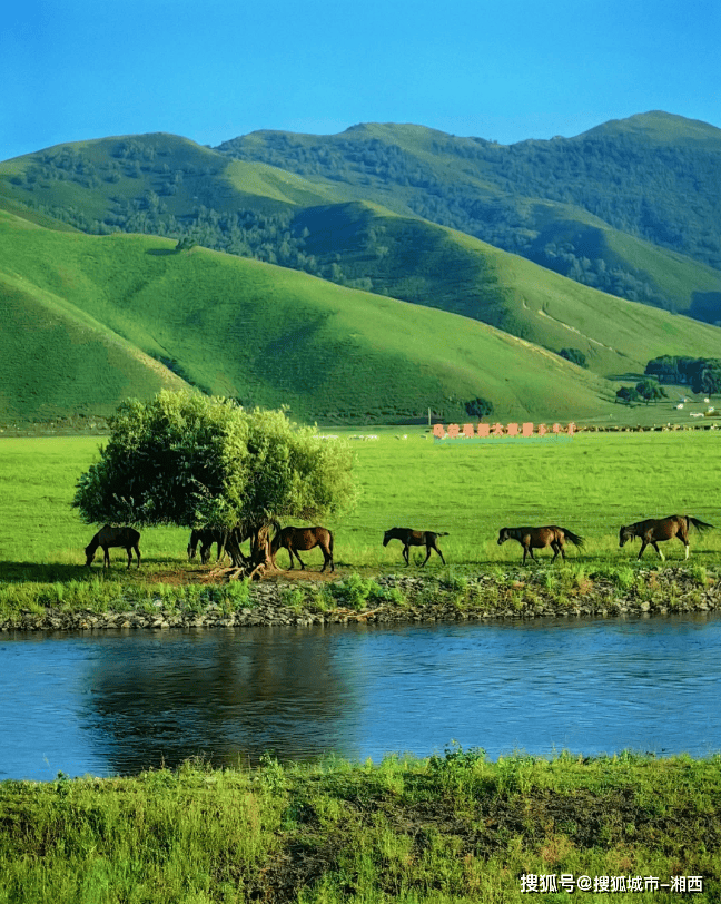 科尔沁草原旅游图片