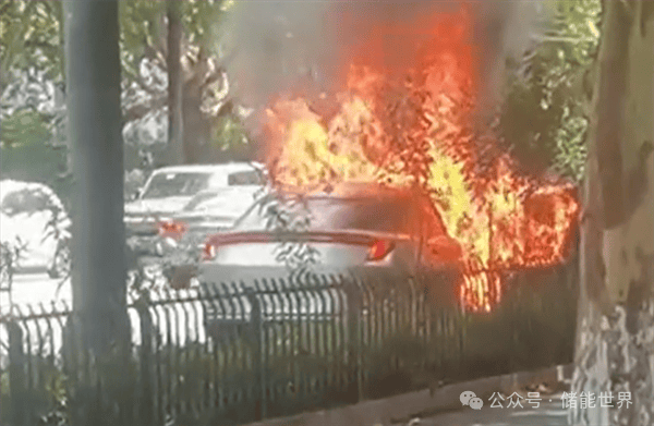 极狐电动车发生自燃:厂家竟用黑布盖车并撬车标引发质疑(图2)