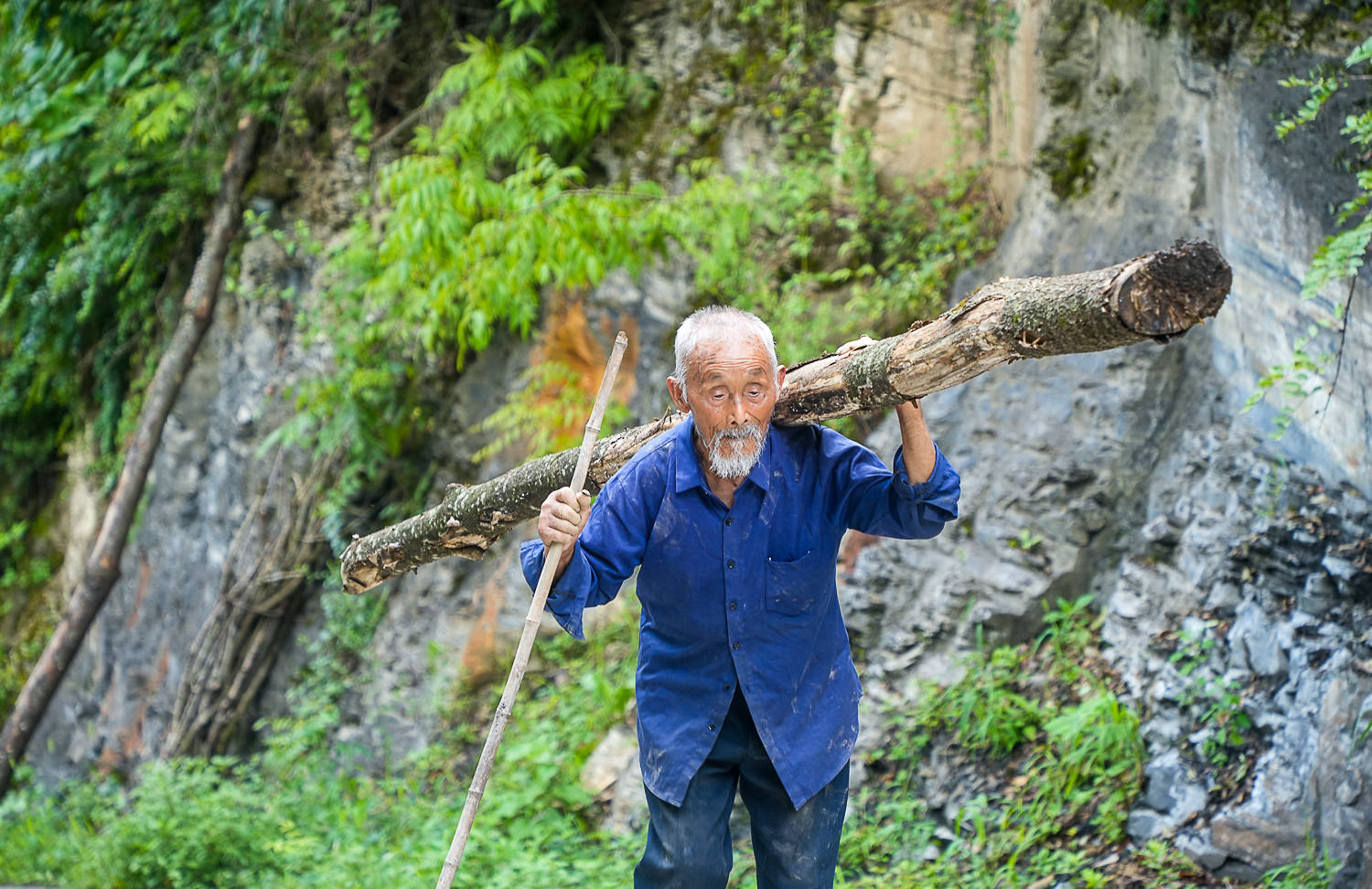 神农架有个长寿村,百岁老人每天还下地干活,最高龄超过120岁