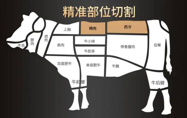 牛肉哪个部位适合烧烤?图解揭秘!眼肉,西冷还是牛肋条?