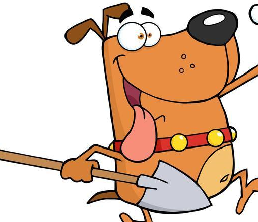 8月就是幸运月,生肖狗走上正轨,人生即将开挂!