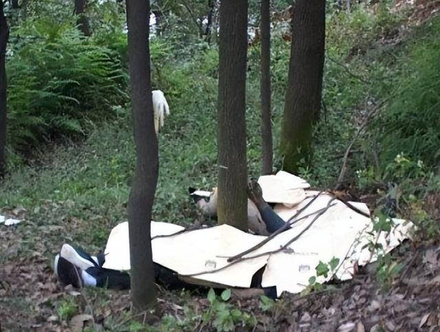 吉林变态恶魔杨洪军:4年杀害24人,专挑年轻女人下手,下场如何