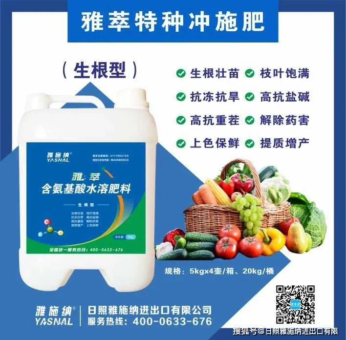 施纳_树体_果树