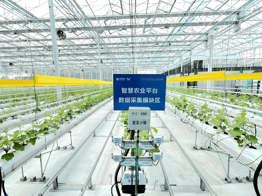 雪域春风:数智科技点亮西藏乡村振兴之路