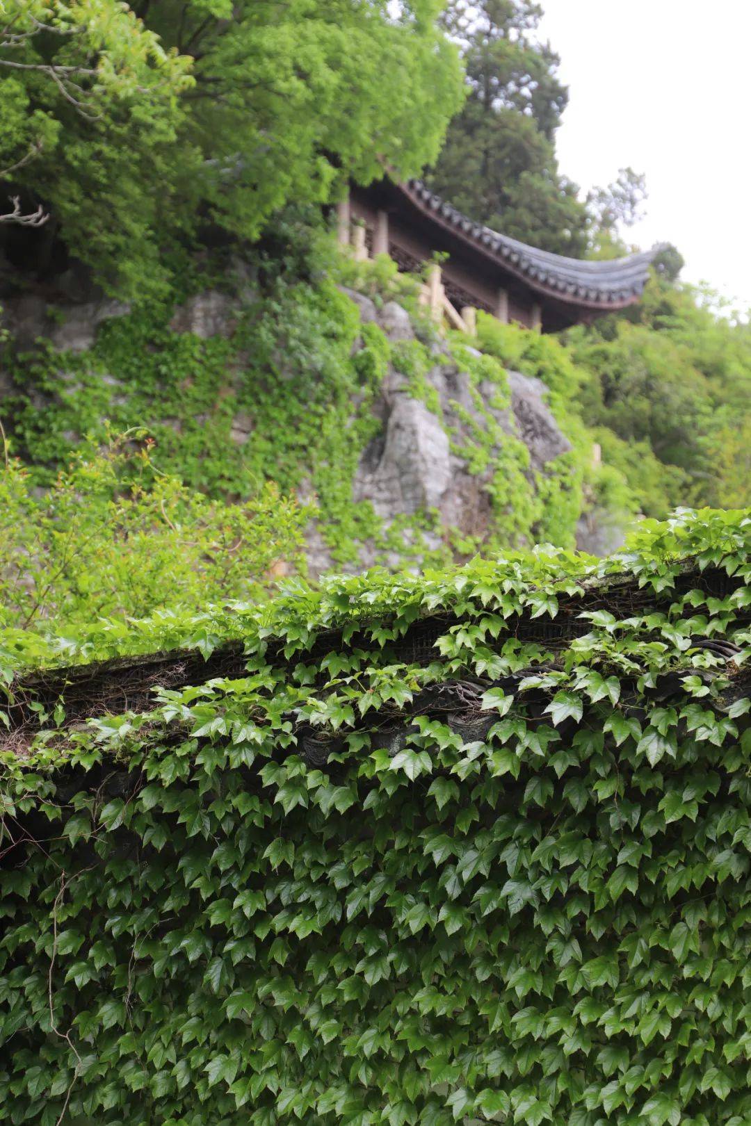 苏州西山岛的景点图片图片