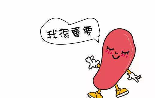 气虚则脾胃皆虚,胃下垂的食疗补气方