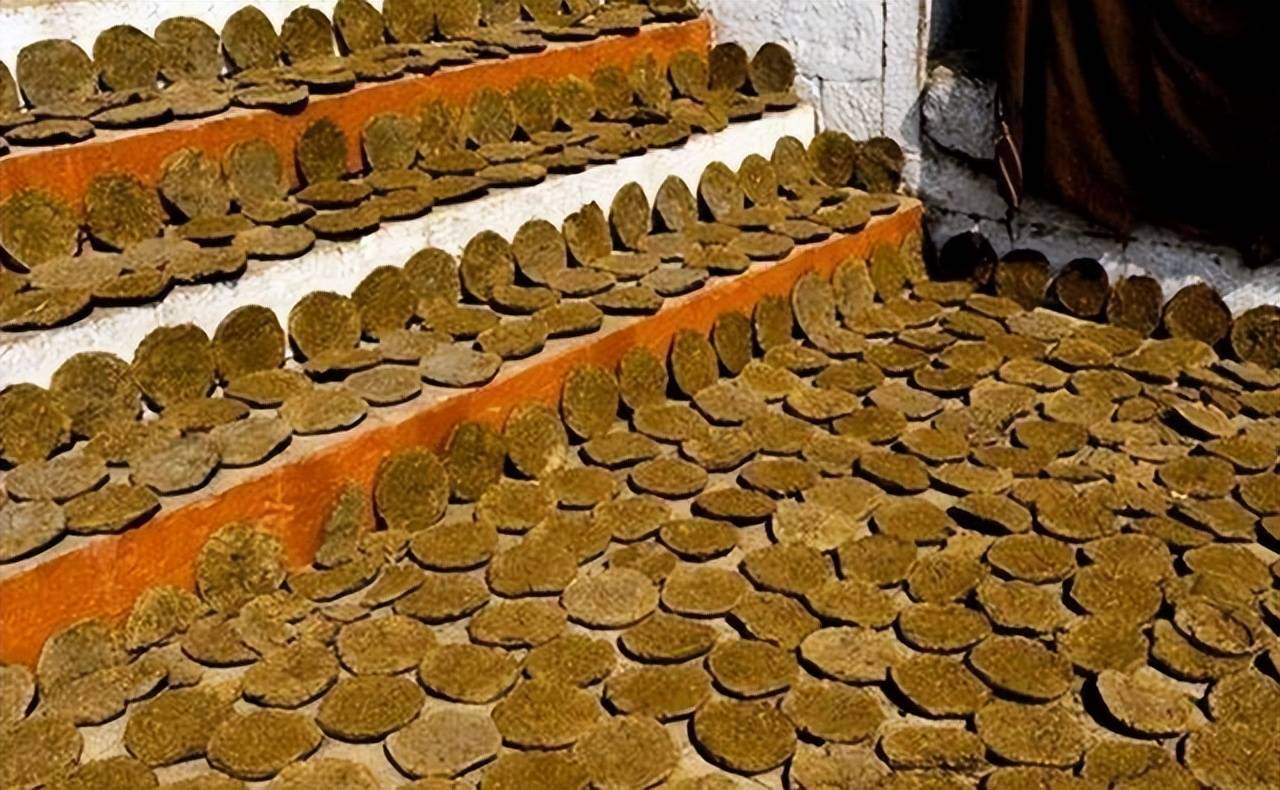 印度最受欢迎的牛粪饼,一天不吃就浑身难受,你敢尝尝吗?