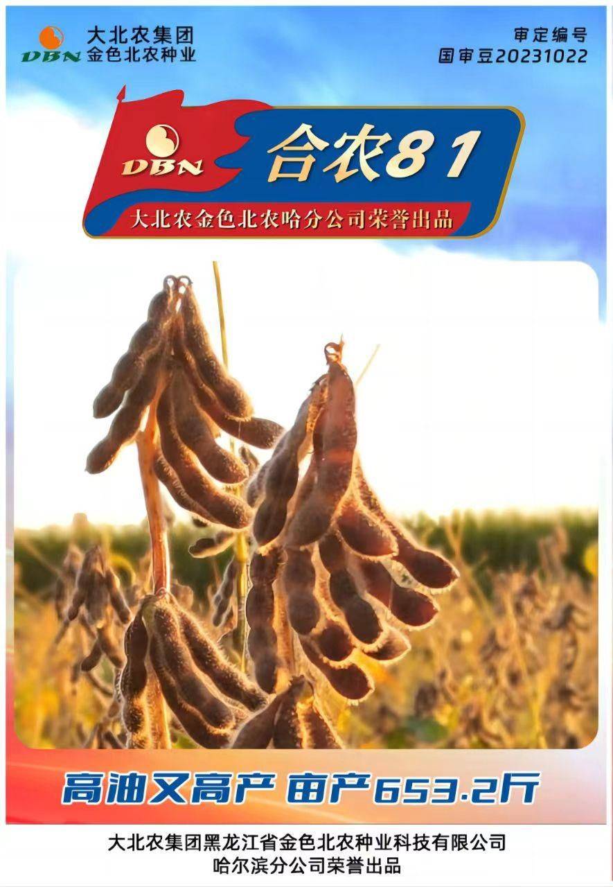 黑农71大豆产量图片