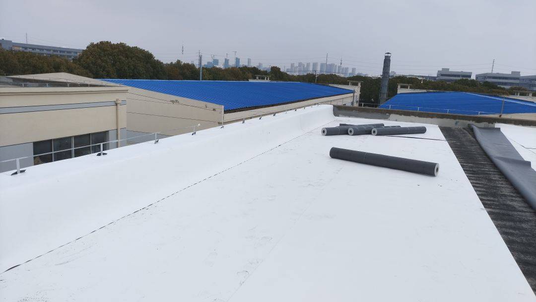 科技防水|三棵树tpo防水卷材助力苏州俊峰工业厂房屋面修缮项目