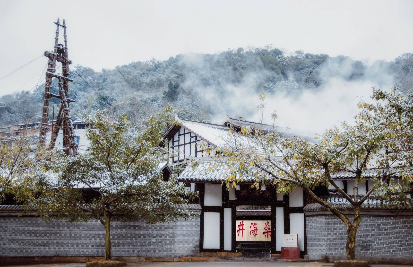 自贡部分a级景区对见义勇为人员免门票