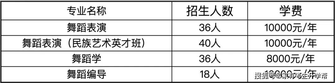 湖南艺术学院收费标准图片