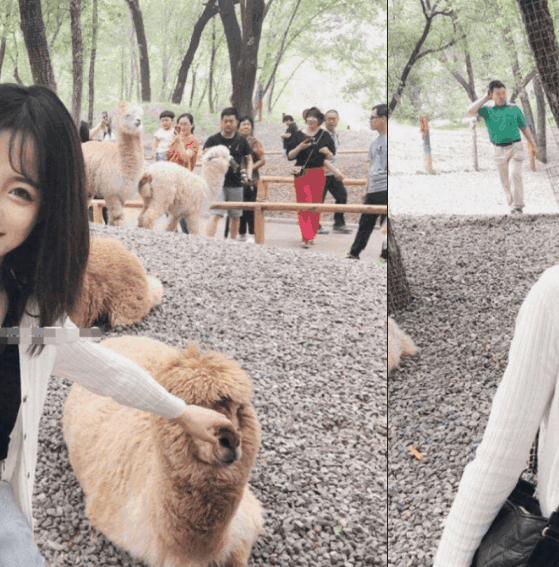 "抖音网红"莉哥外号"三万姐",公开叫价3万,网友:真好赚