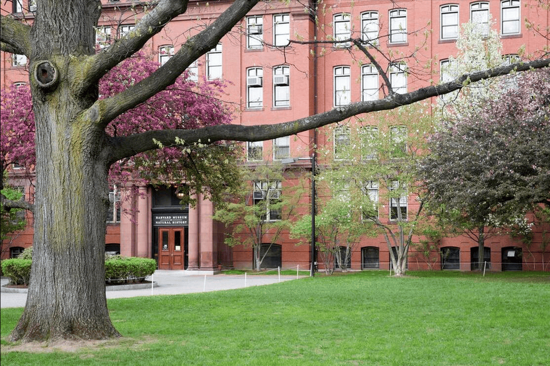 范德堡大学QS图片