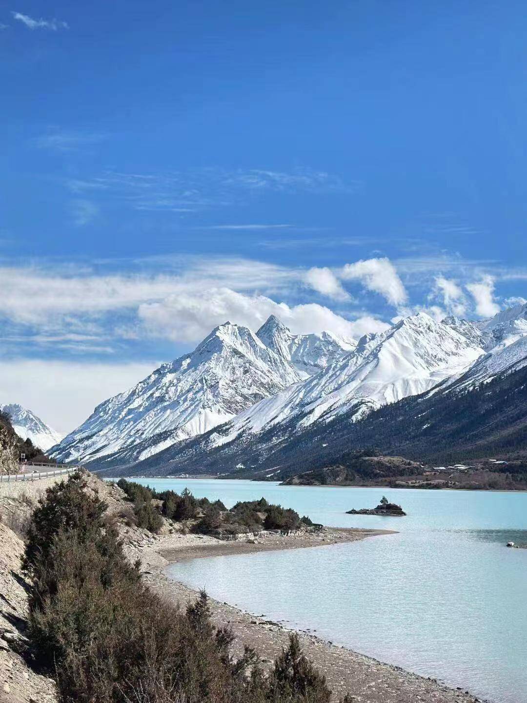 第四天,抵达波密县,游览中国最美的原始森林——波密岗自然保护区.