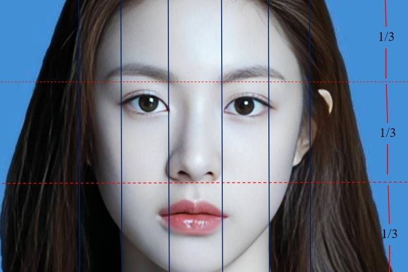 面部美学你知多少？