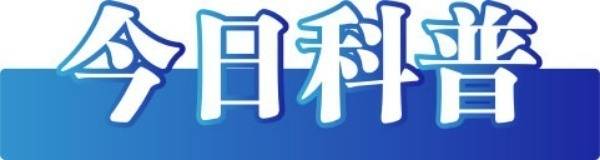 今日辟谣 2024年8月19日