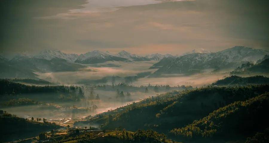 家电企业的市场近忧与商业远虑-家电圈官网